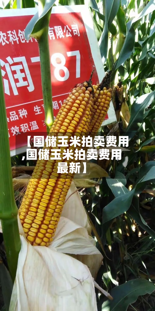 【国储玉米拍卖费用
,国储玉米拍卖费用
最新】-第3张图片