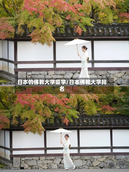 日本的佛教大学留学/日本佛教大学排名