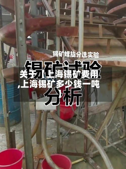 关于【上海锡矿费用,上海锡矿多少钱一吨】-第3张图片