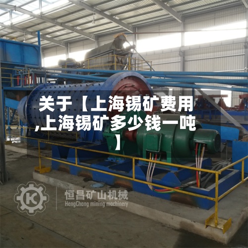 关于【上海锡矿费用,上海锡矿多少钱一吨】-第2张图片