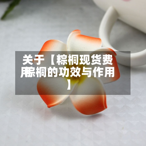 关于【粽桐现货费用,棕桐的功效与作用】