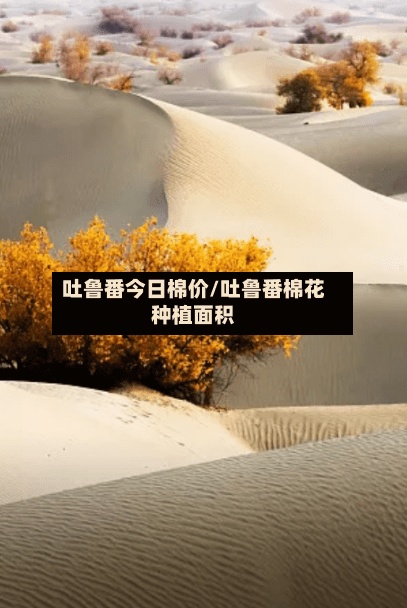 吐鲁番今日棉价/吐鲁番棉花种植面积-第3张图片