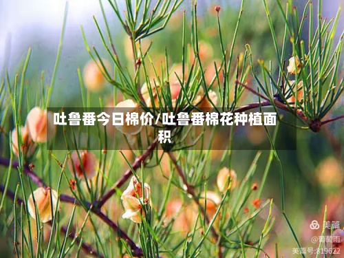 吐鲁番今日棉价/吐鲁番棉花种植面积