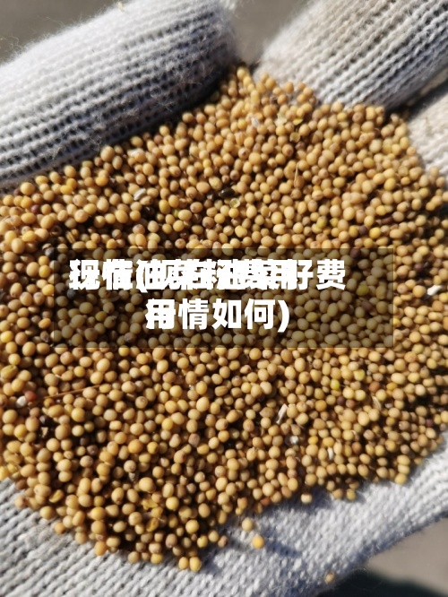现在油菜籽费用行情(现在油菜籽费用行情如何)