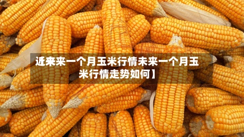 近来【未来一个月玉米行情未来一个月玉米行情走势如何】