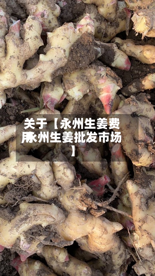 关于【永州生姜费用,永州生姜批发市场】