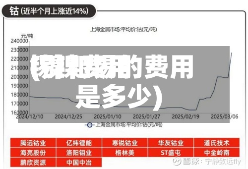 锡镍费用(镍和锡的费用是多少)