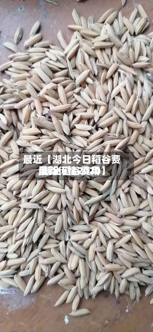 最近【湖北今日稻谷费用,湖北稻谷费用最新行情2020】