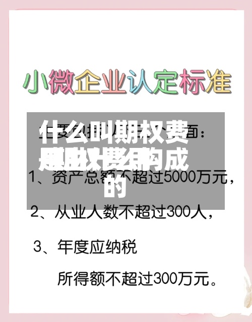 什么叫期权费用/期权费用是由什么构成的