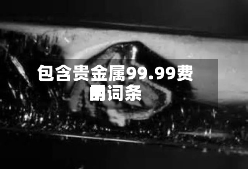 包含贵金属99.99费用的词条