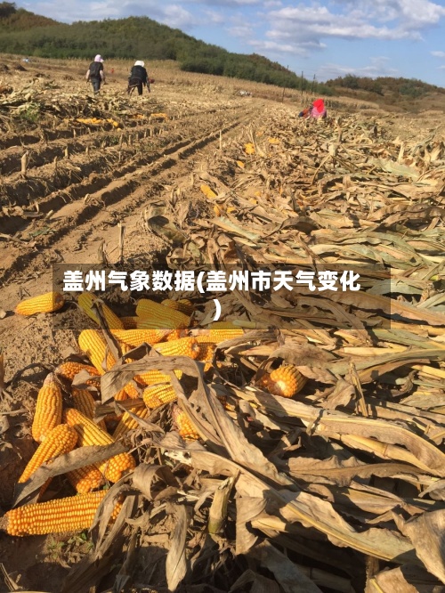 盖州气象数据(盖州市天气变化)