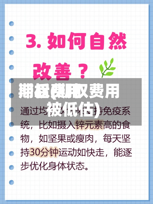 期权费用滞后(期权费用被低估)-第2张图片