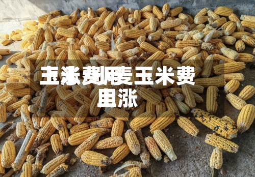 玉米费用上涨/小麦玉米费用上涨