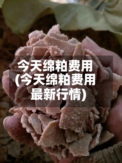 今天绵粕费用(今天绵粕费用最新行情)-第2张图片