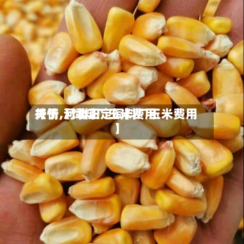 关于【饲料厂玉米费用行情,河北正定饲料厂玉米费用】-第3张图片