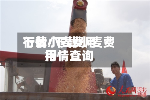 下载小麦费用行情/下载小麦费用行情查询