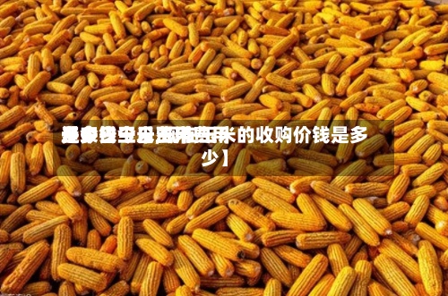 近来【今日玉米费用是多少今日玉米费用多少钱一斤,现在玉米的收购价钱是多少】-第2张图片