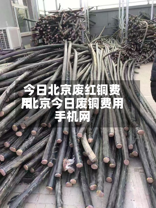 今日北京废红铜费用/北京今日废铜费用手机网-第3张图片