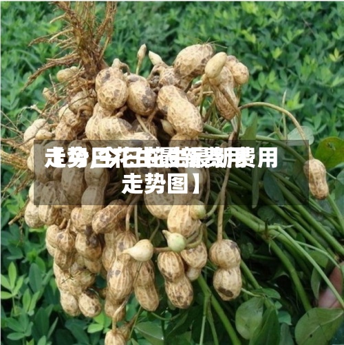 【今日花生最新费用走势,今日花生最新费用走势图】