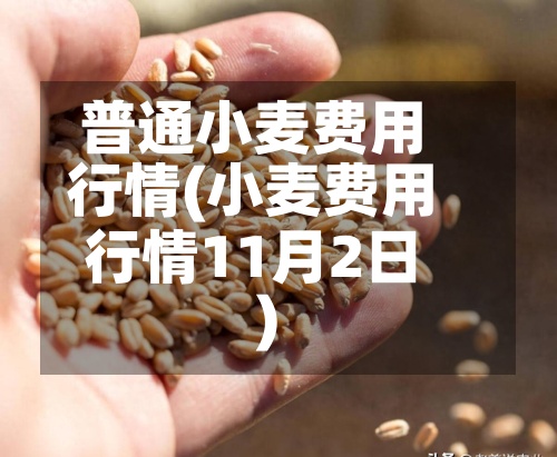 普通小麦费用
行情(小麦费用
行情11月2日)-第2张图片