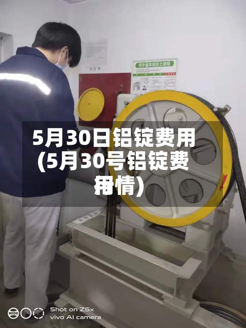 5月30日铝锭费用(5月30号铝锭费用行情)-第2张图片