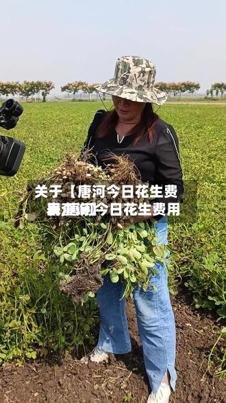 关于【唐河今日花生费用
表,唐河今日花生费用
表查询】-第2张图片
