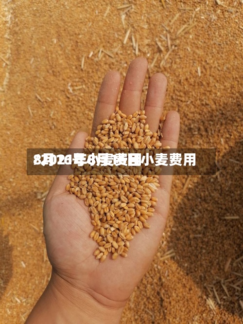 8月16号小麦费用/2021年8月16日小麦费用-第2张图片