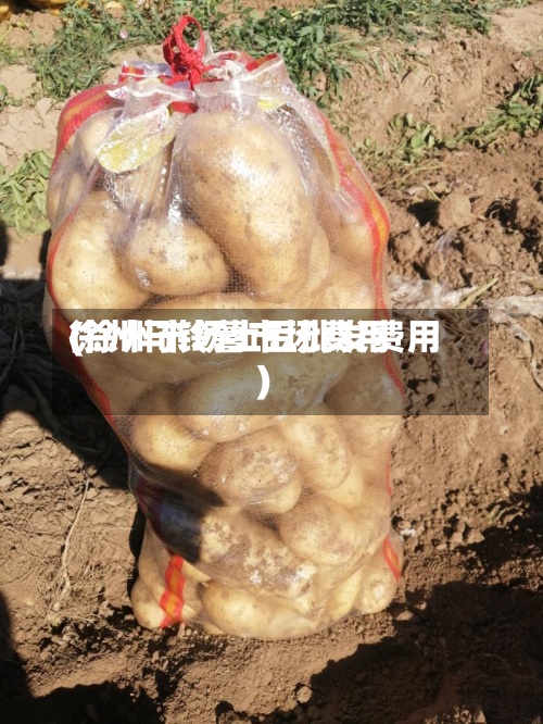 徐州马铃薯市场费用(徐州市场土豆批发费用)-第3张图片