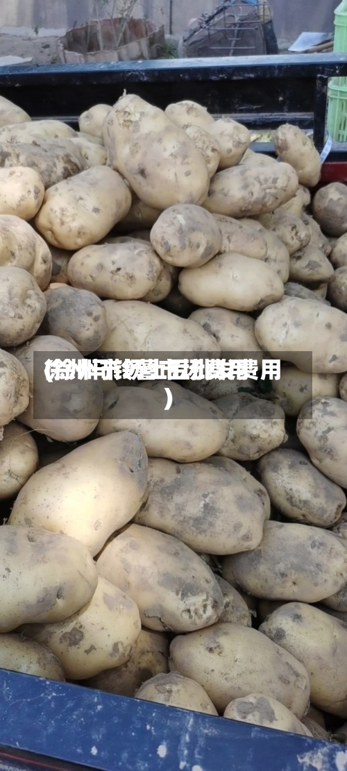 徐州马铃薯市场费用(徐州市场土豆批发费用)-第2张图片