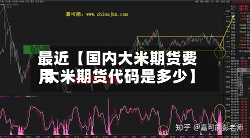 最近【国内大米期货费用,大米期货代码是多少】-第3张图片