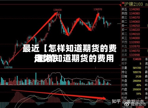 最近【怎样知道期货的费用,怎样知道期货的费用走势】-第3张图片