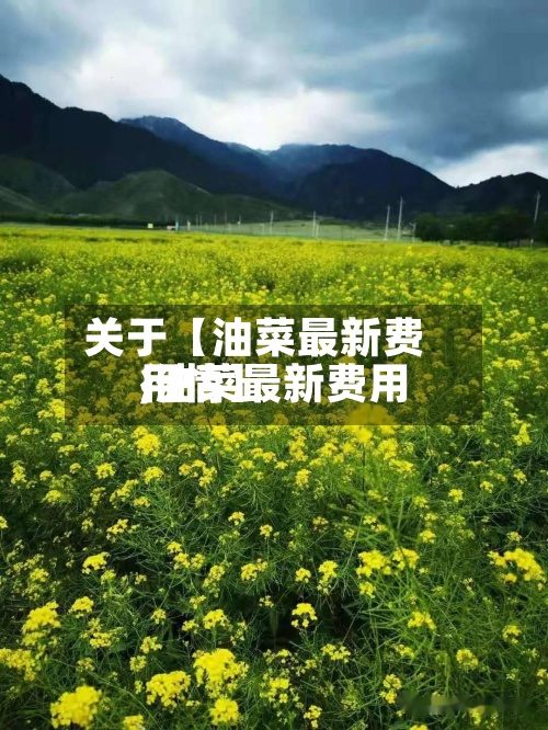 关于【油菜最新费用,油菜最新费用行情】-第2张图片