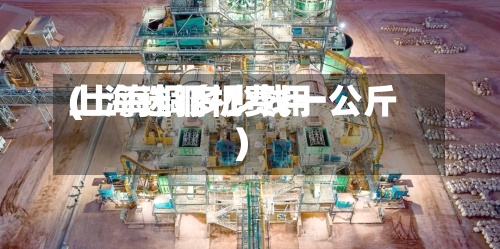 上海选铜机费用(上海铜多少钱一公斤)-第3张图片