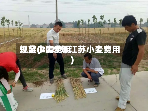 江苏小麦费用规定(2021年江苏小麦费用)-第2张图片