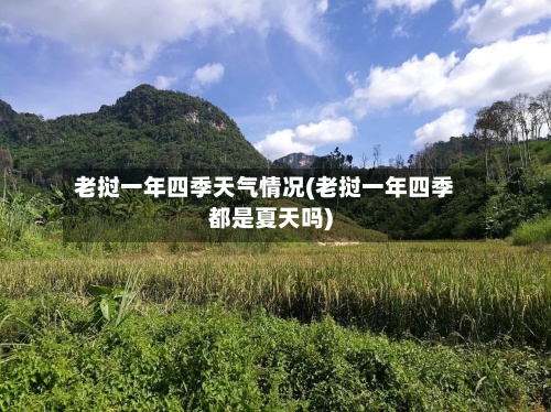 老挝一年四季天气情况(老挝一年四季都是夏天吗)-第3张图片