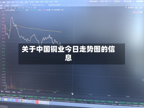 关于中国铜业今日走势图的信息-第2张图片