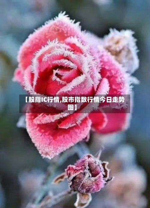 【股指IC行情,股市指数行情今日走势图】-第3张图片