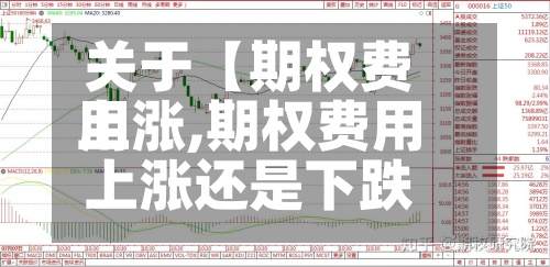 关于【期权费用上涨,期权费用上涨还是下跌】-第3张图片