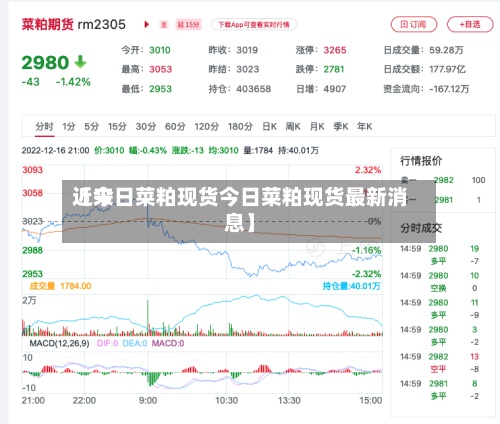 近来【今日菜粕现货今日菜粕现货最新消息】