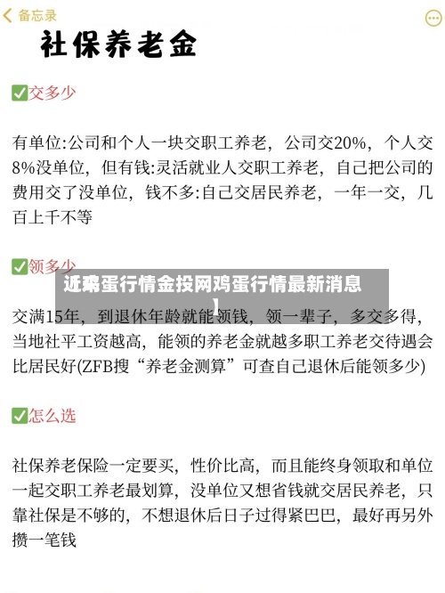 近来【鸡蛋行情金投网鸡蛋行情最新消息】-第3张图片