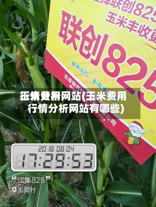 玉米费用行情分析网站(玉米费用行情分析网站有哪些)-第3张图片