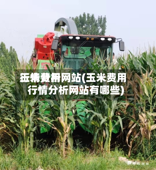 玉米费用行情分析网站(玉米费用行情分析网站有哪些)-第2张图片
