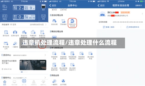 违章机处理流程/违章处理什么流程