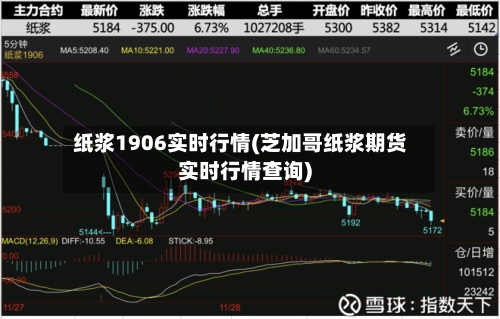 纸浆1906实时行情(芝加哥纸浆期货实时行情查询)