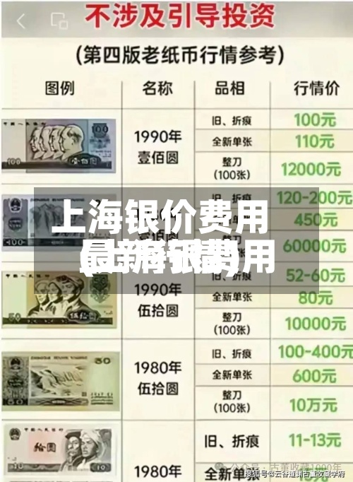 上海银价费用
(上海银费用
最新行情)-第2张图片