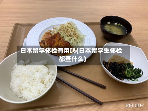 日本留学体检有用吗(日本留学生体检都查什么)-第2张图片