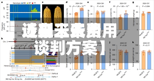 近来【玉米费用谈判玉米费用谈判方案】-第2张图片