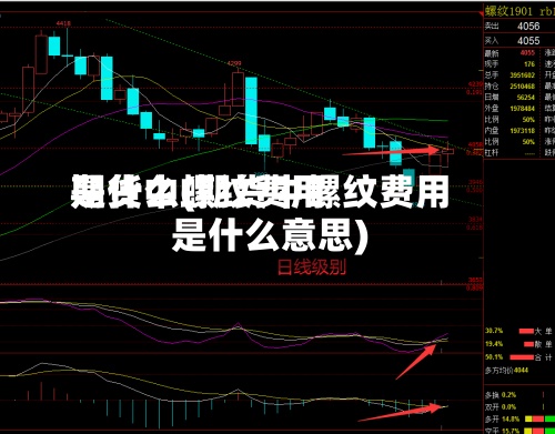 期货中螺纹费用是什么(期货中螺纹费用是什么意思)-第3张图片