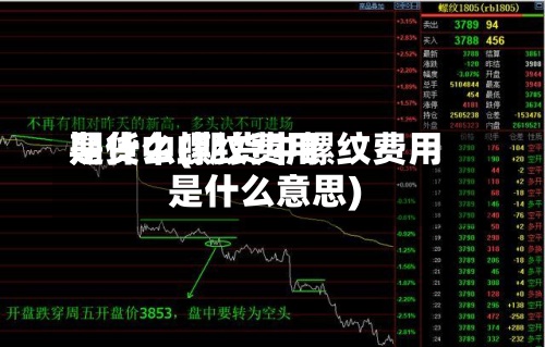 期货中螺纹费用是什么(期货中螺纹费用是什么意思)-第2张图片