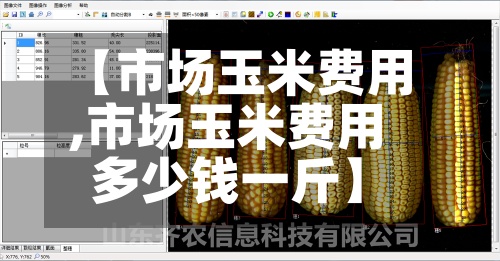 【市场玉米费用,市场玉米费用多少钱一斤】-第2张图片